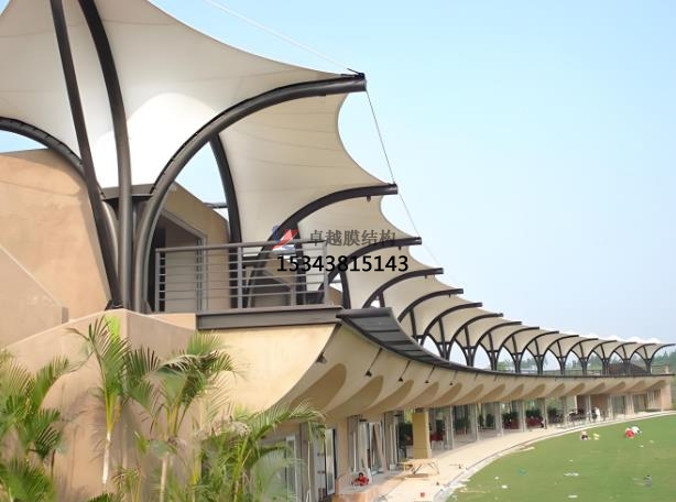 高爾夫膜結(jié)構(gòu)的相關(guān)知識(shí)點(diǎn)