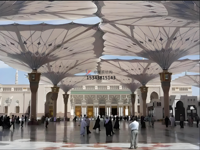 PTFE網格膜，有哪些類別呢？