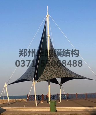 膜結(jié)構(gòu)